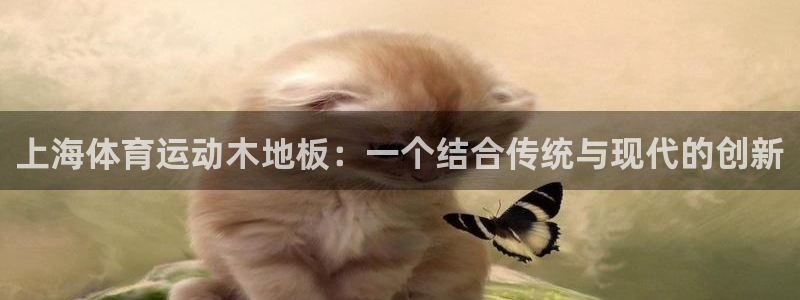 速播体育：上海体育运动木地板：一个结合传统与现代的创新