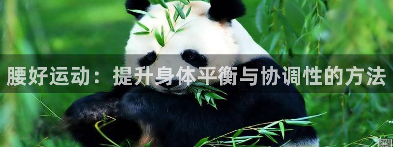 速播体育：腰好运动：提升身体平衡与协调性的方法