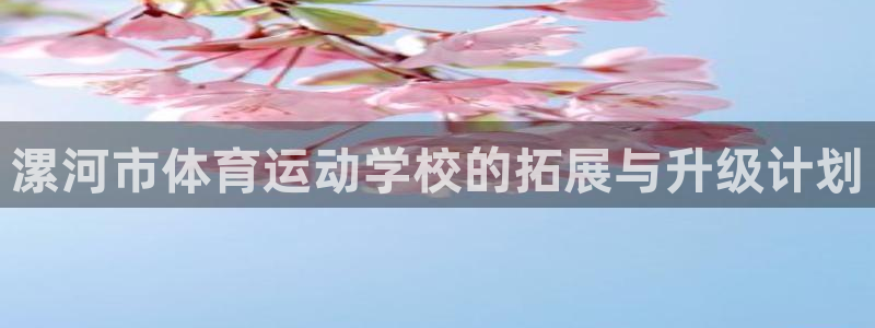 速播体育网：漯河市体育运动学校的拓展与升级计划
