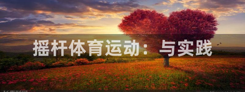 速播体育：摇杆体育运动：与实践