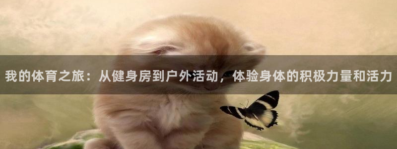 速播体育网：我的体育之旅：从健身房到户外活动，体验身体的积极力量和活力